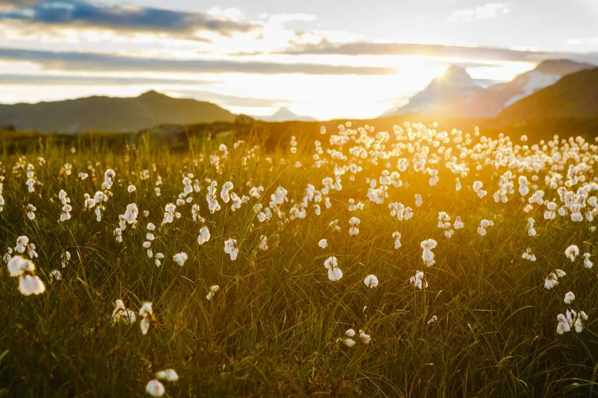Spring in Norway