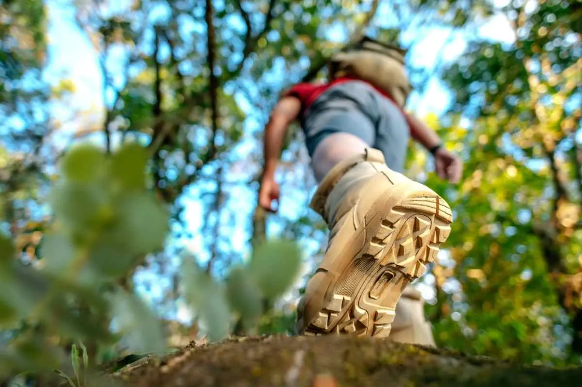 Close-up of a hiker’s boot sole stepping through a forest trail, low-angle view.