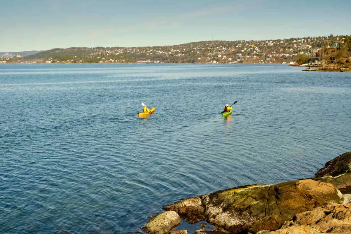 Two kayakers paddling on the calm waters of the Oslo Fjord with houses on the hillside in the background.