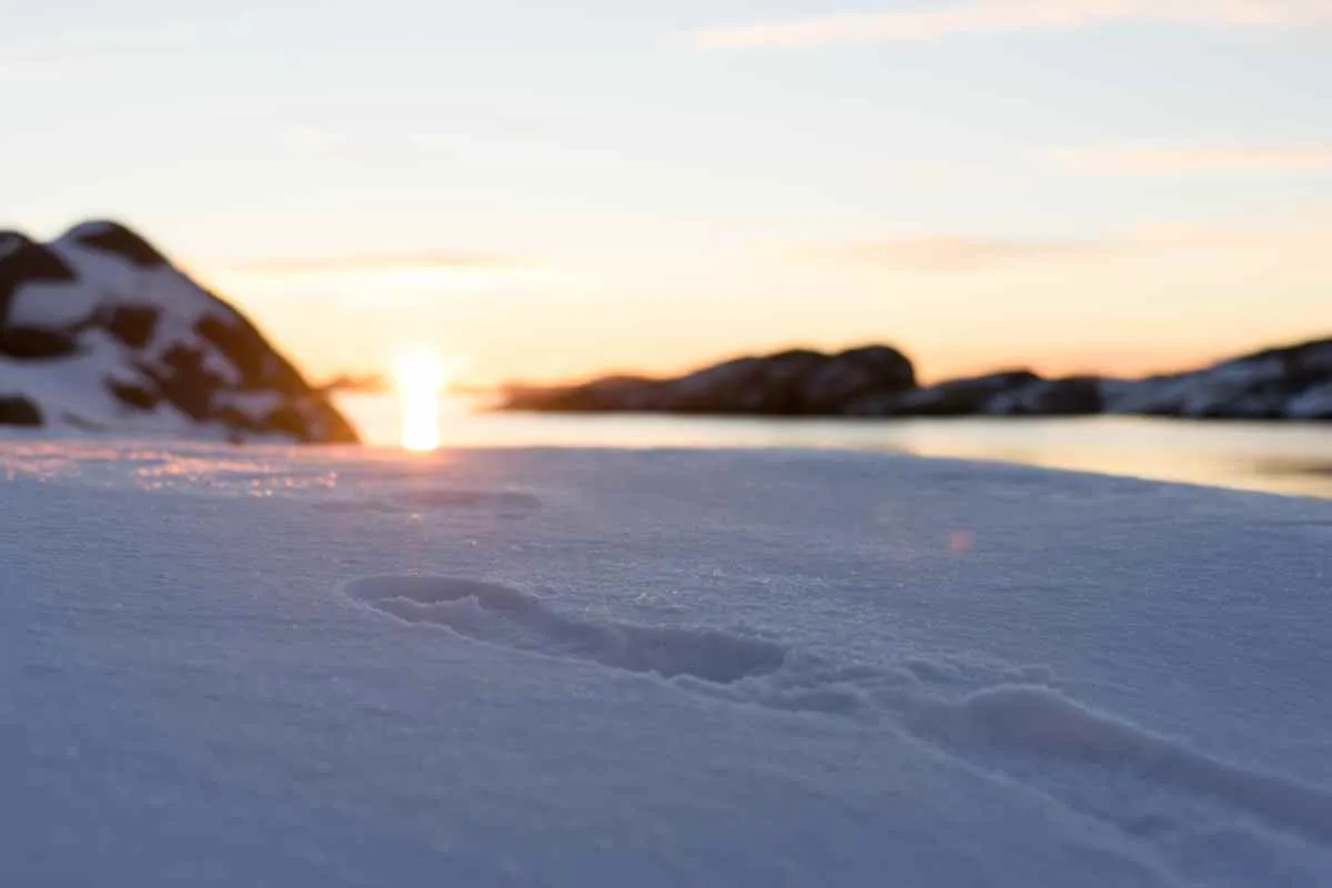 Snow-covered rocks and icy shoreline reflecting the soft glow of a winter sunset.