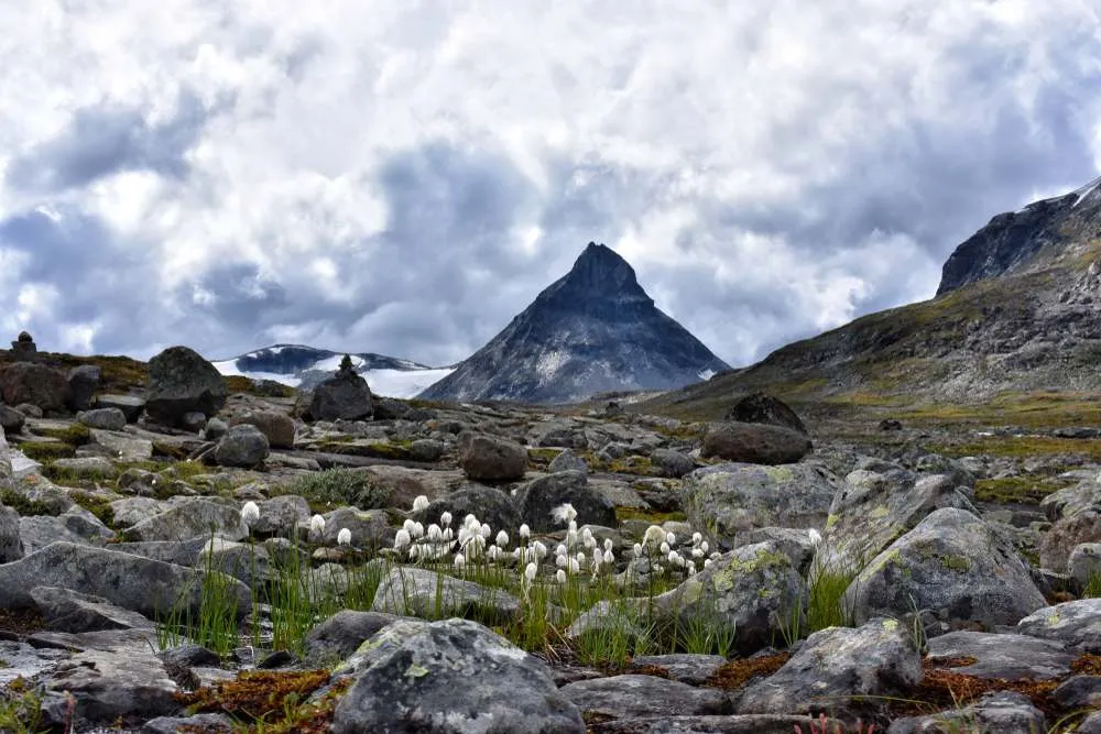 River in Jotunheimen national park