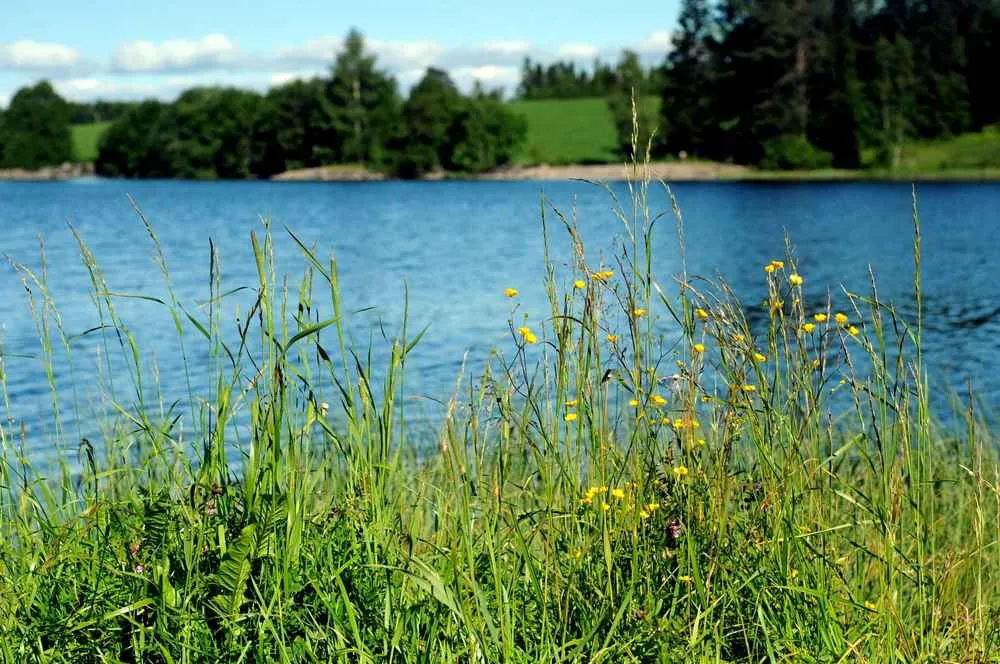 Lake in Norway