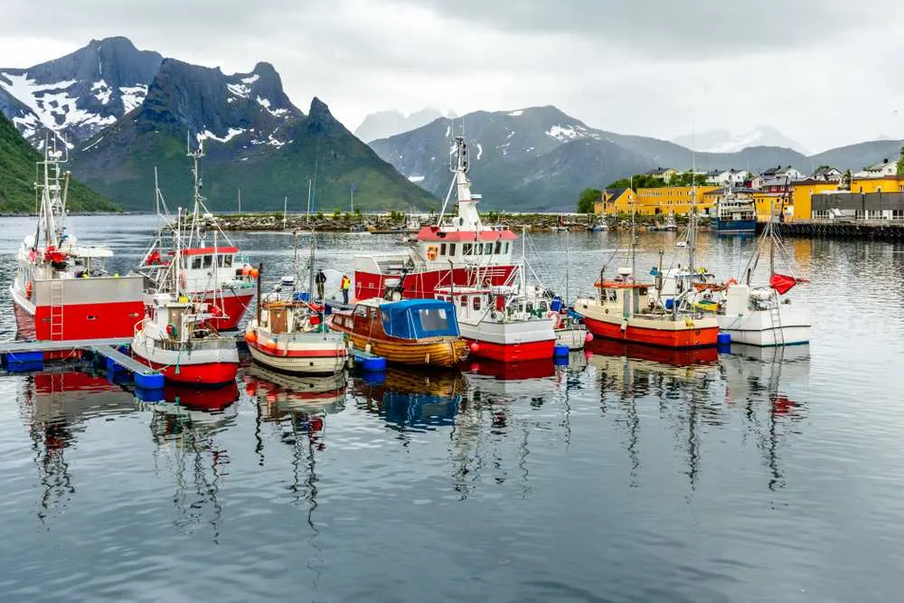 Båter til Husøy