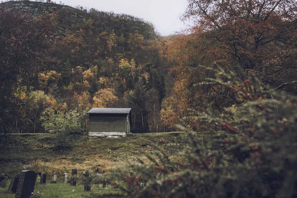 Norway in fall
