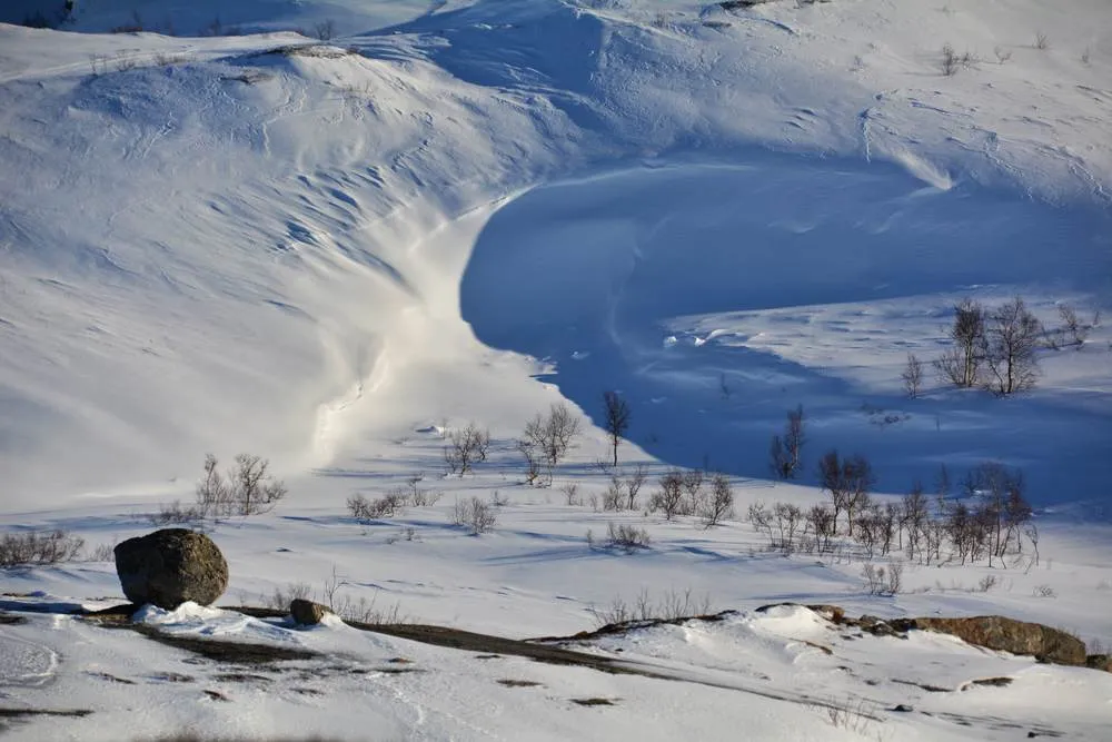 Borgefjell National Park