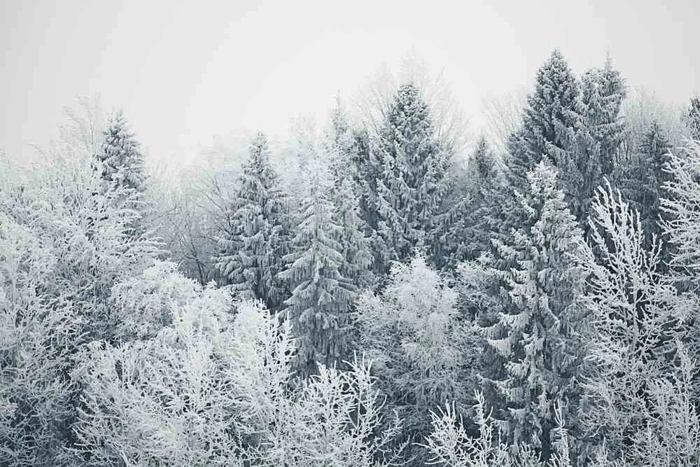 December in Norway