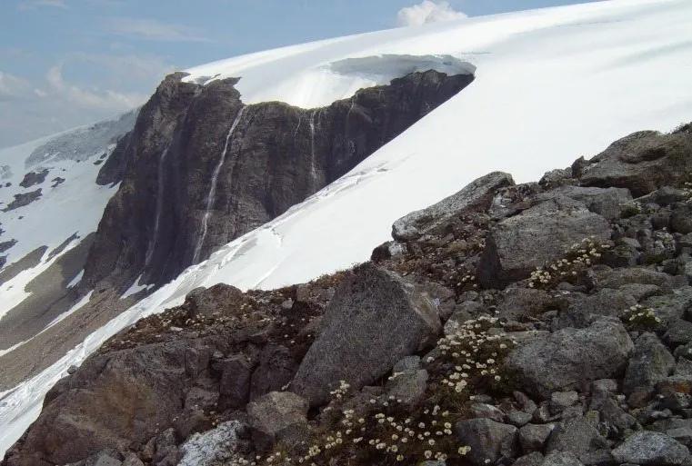 Fresvikbreen