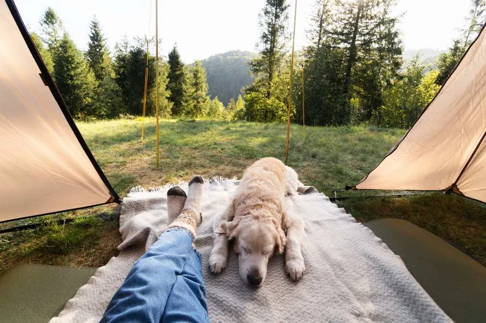 Camping as a part of Friluftsliv Philosophy
