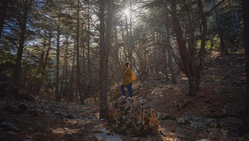 Connection with nature