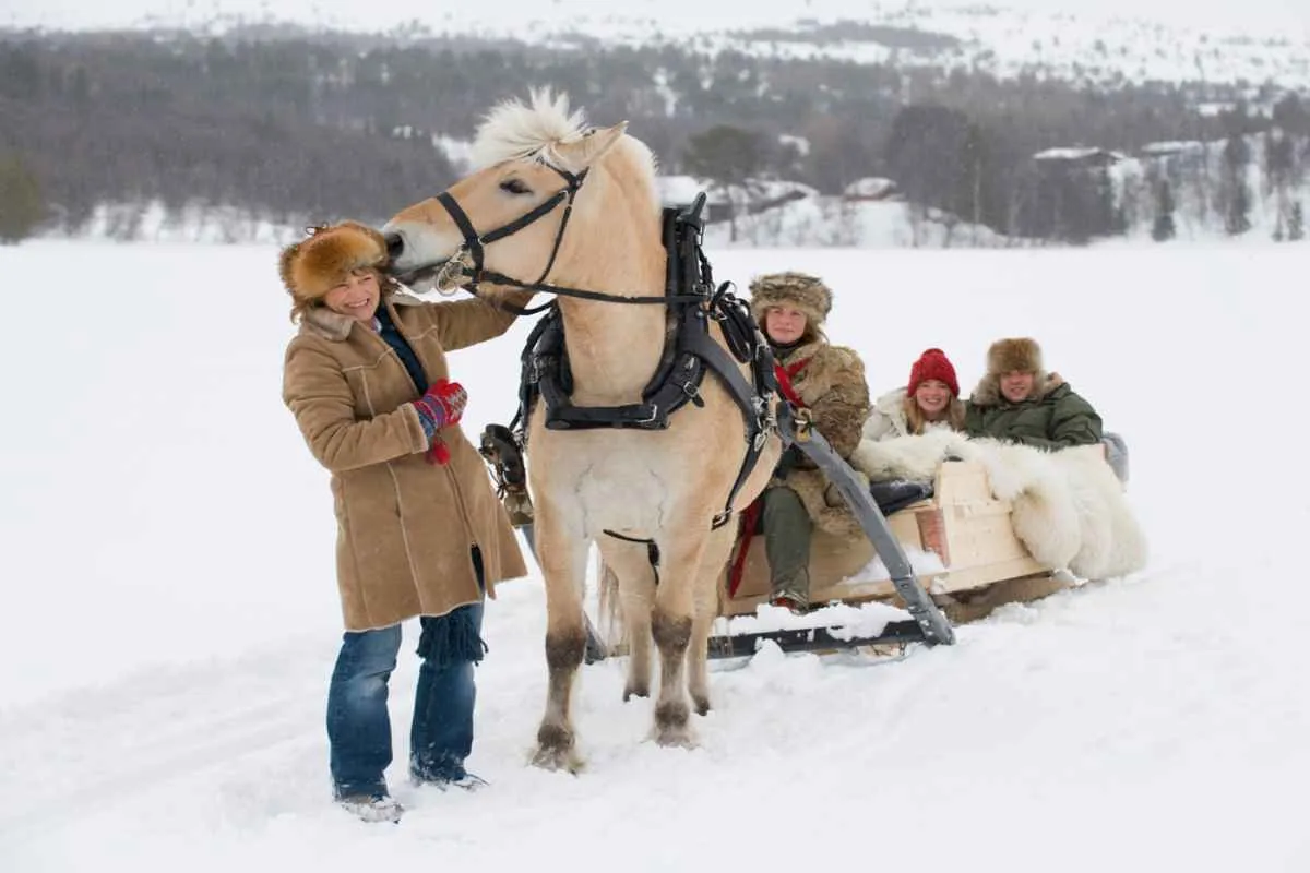 Horse-drawn sleigh ride in a snowy landscape, with bundled-up visitors sitting on the sleigh behind the harnessed horse.