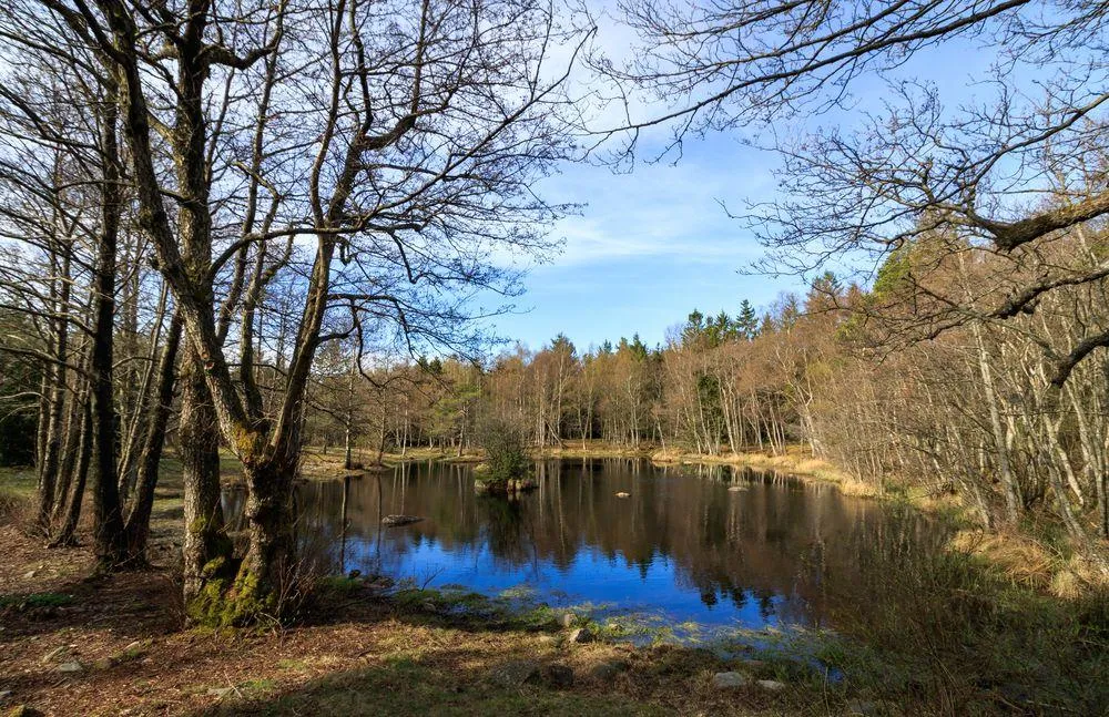 Raet National Park near Oslo