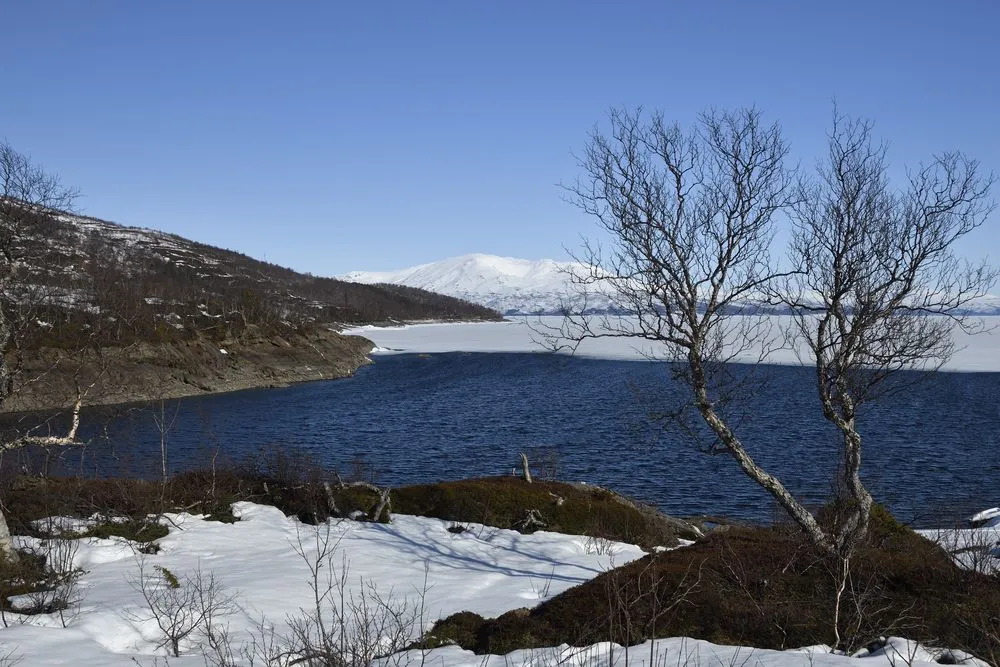 Traveler’s Guide to Lake Røssvatnet in Norway