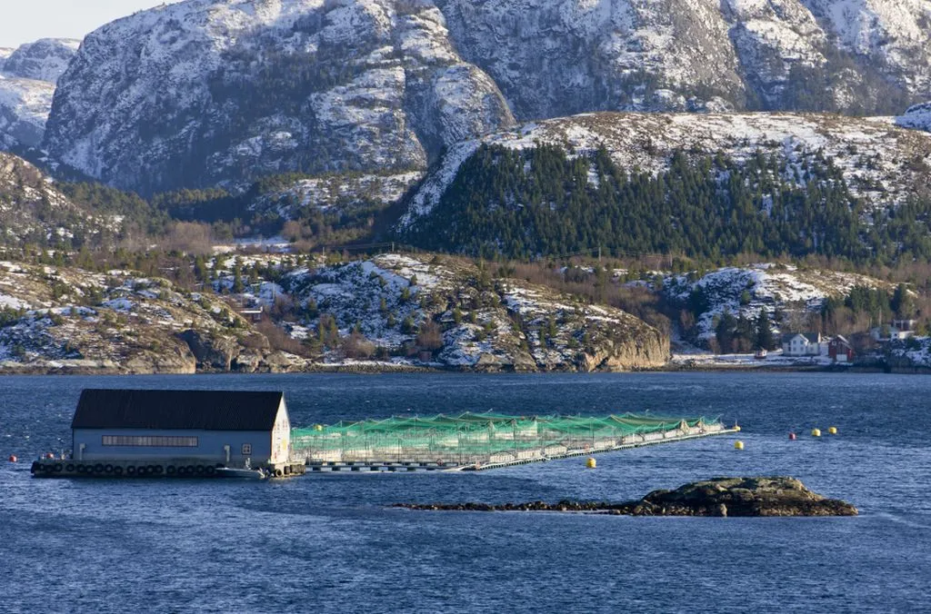 Norwegian Trondheimsfjord
