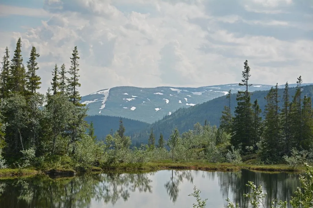 Norwegian Lomsdal-Visten National Park in Norway