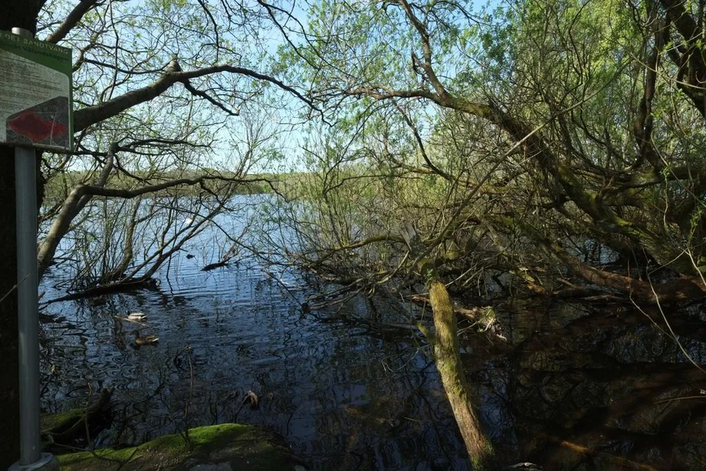 Norwegian Lake Mosvatnet