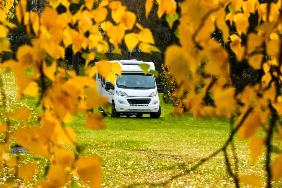 A campervan in the center of the image stands out from a tree with yellow leaves that appears out of focus.