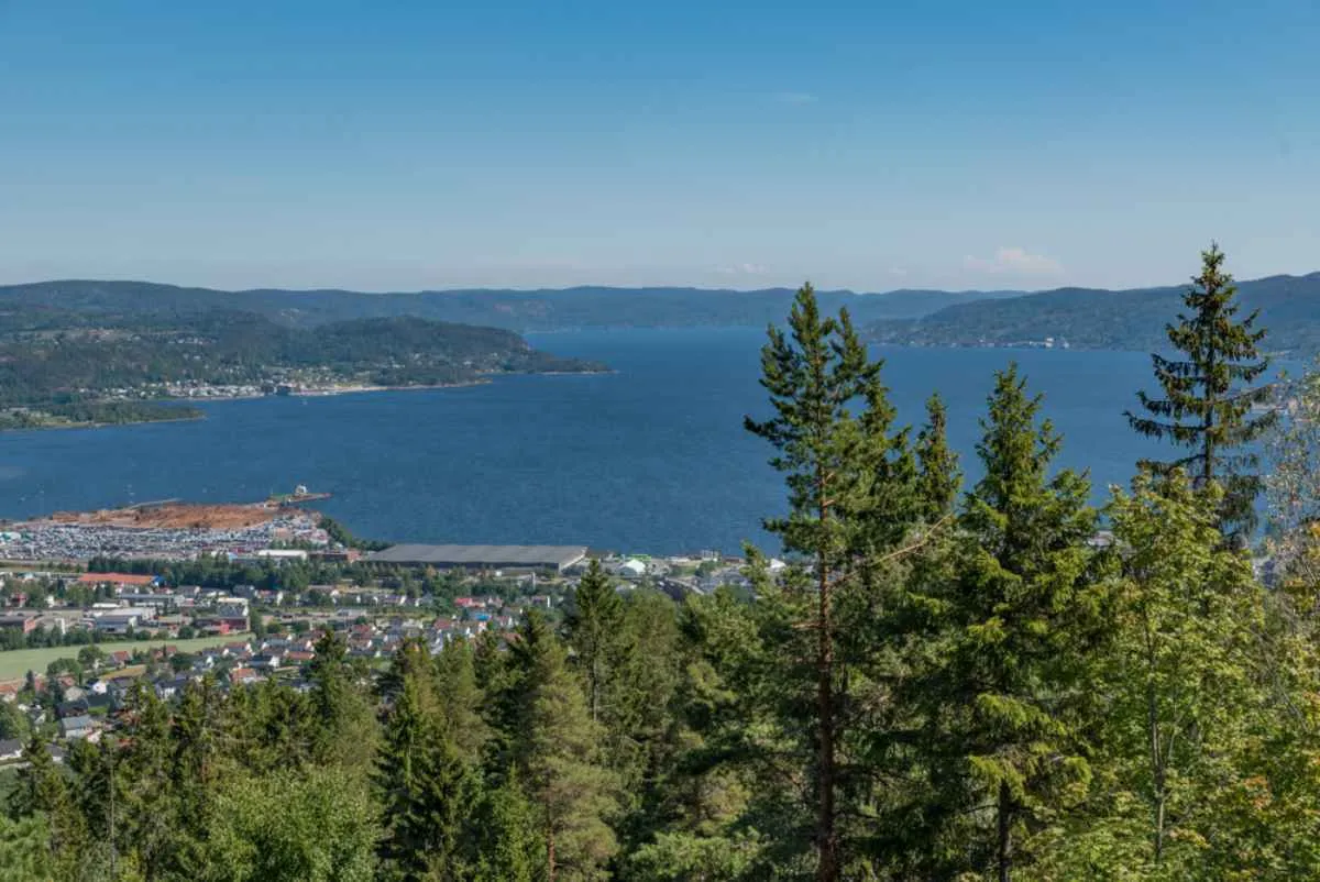 Aerial view of Drammensfjord in Norway with turquoise waters in the background, a town on the left, and tall pine trees on the right side of the image.