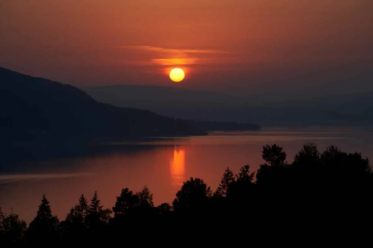 The sun sets in the Tyrifjorden forest, near Oslo.