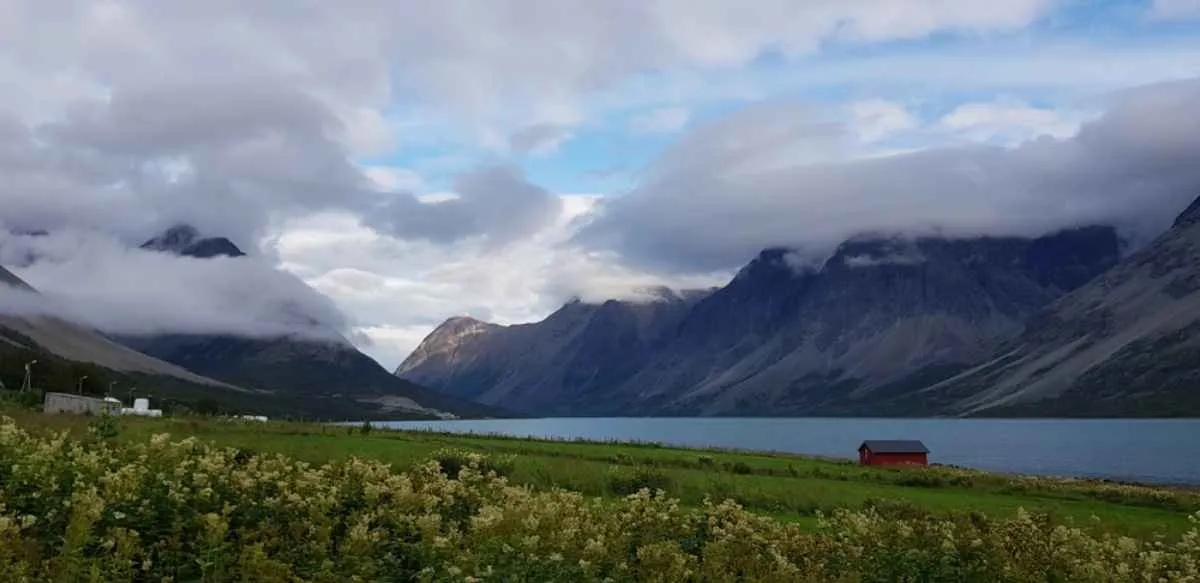 Fairytale landscape in Svensby, Norway, where clouds cover the high mountains surrounding a beautiful nature spot with a house and flowers at its foot.