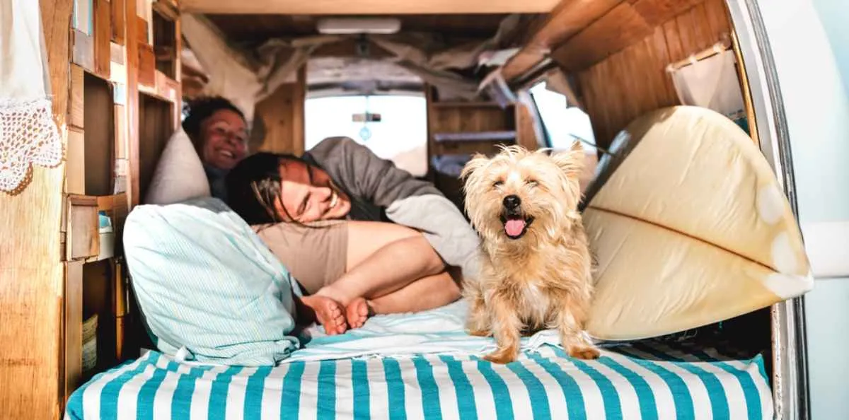 A couple of camper hikers enjoy, together with their dog, a well-deserved rest inside their vehicle and on a bed set up in the back.
