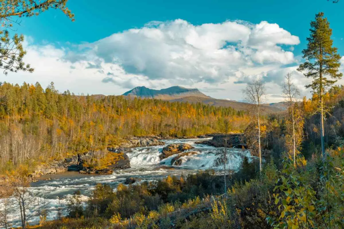 General view of the Malselvfossen waterfall in Norway with the trees dyed in typical autumn colors and the sky partially clear.
