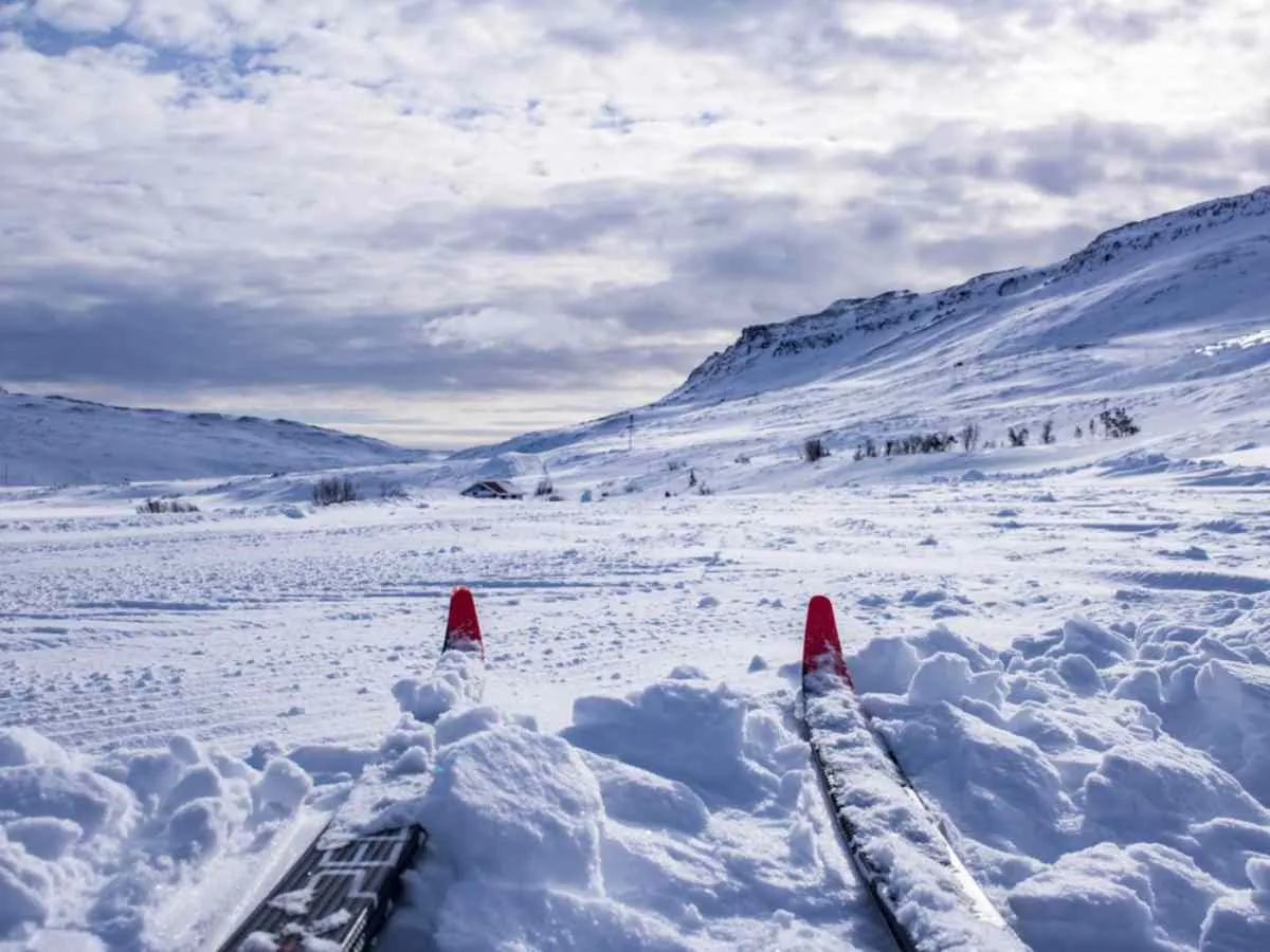 Ski de fond