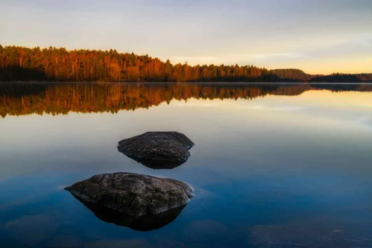 Le lac Delsjön, entouré d'une forêt automnale près de Göteborg