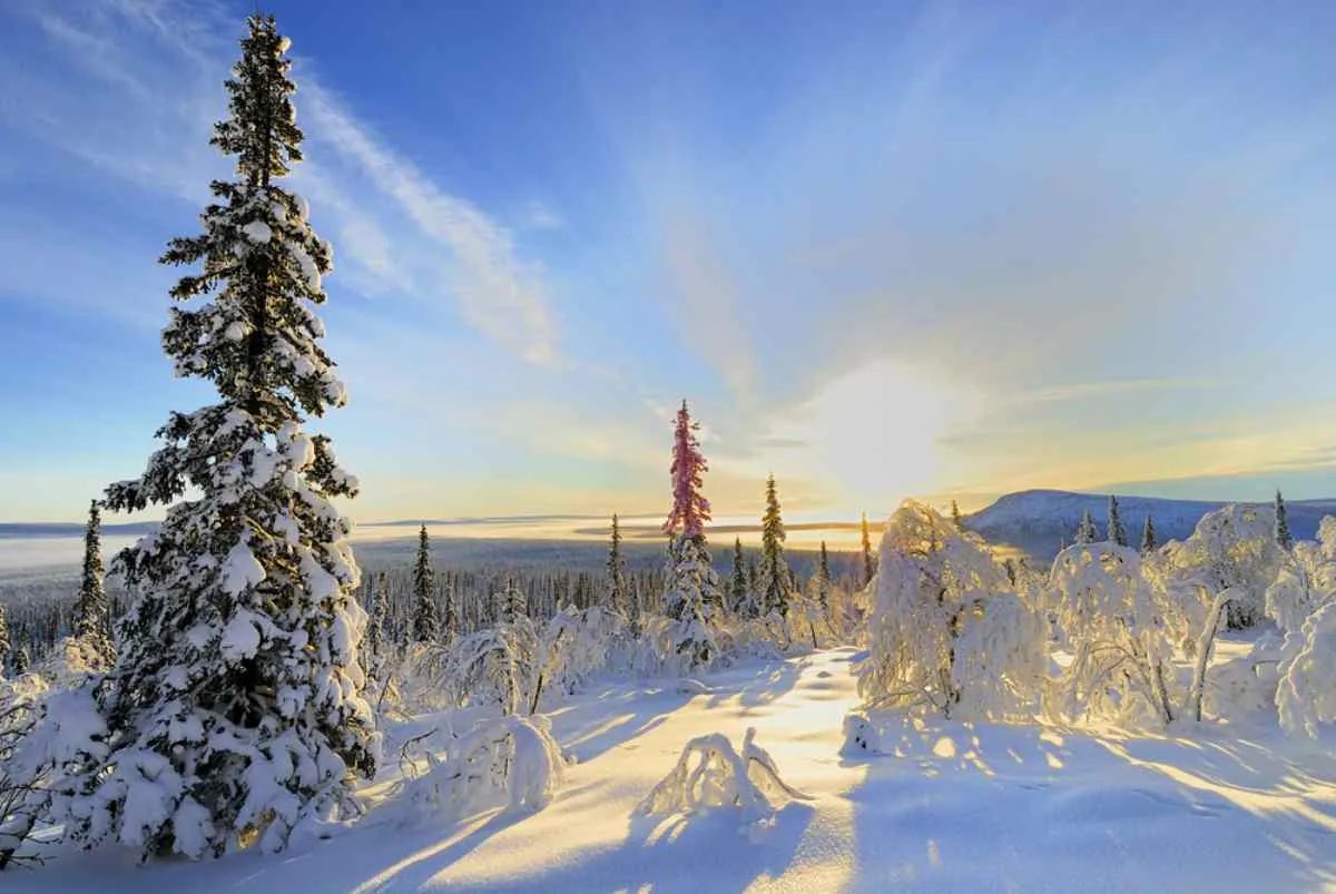 Voyager en Suède en hiver