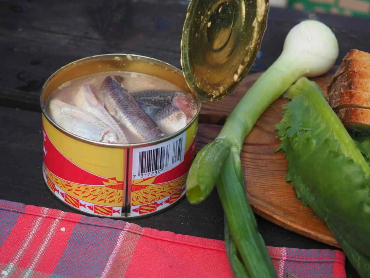 comida sueca: surströmming