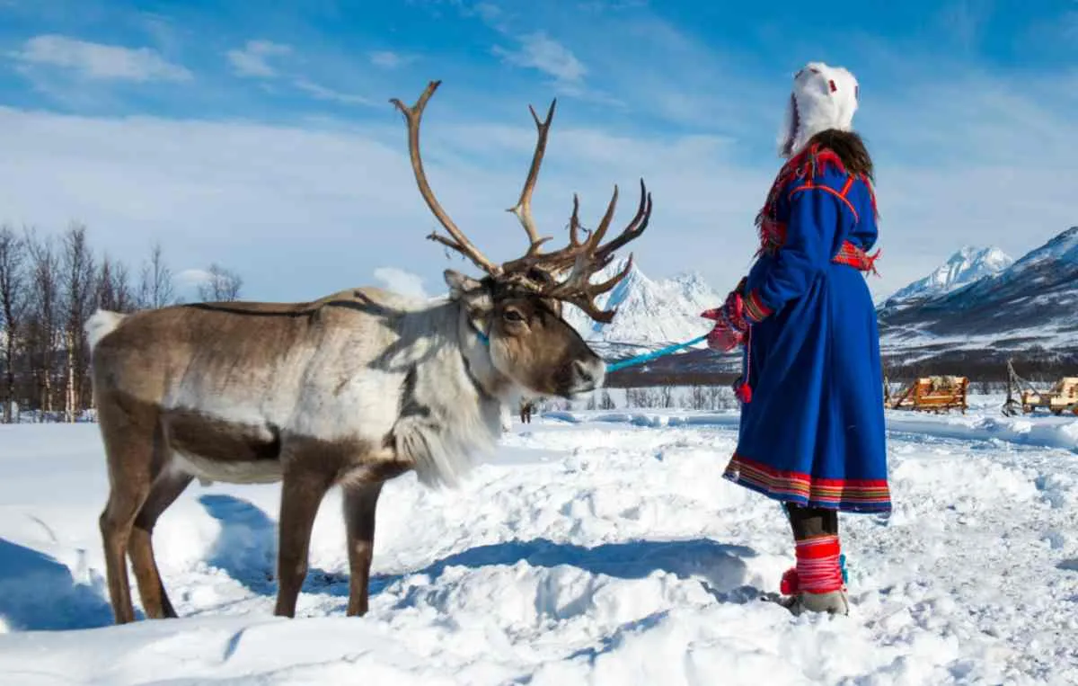 Personne vêtue d’un costume traditionnel sami bleu tenant un renne en laisse dans un paysage montagneux enneigé.