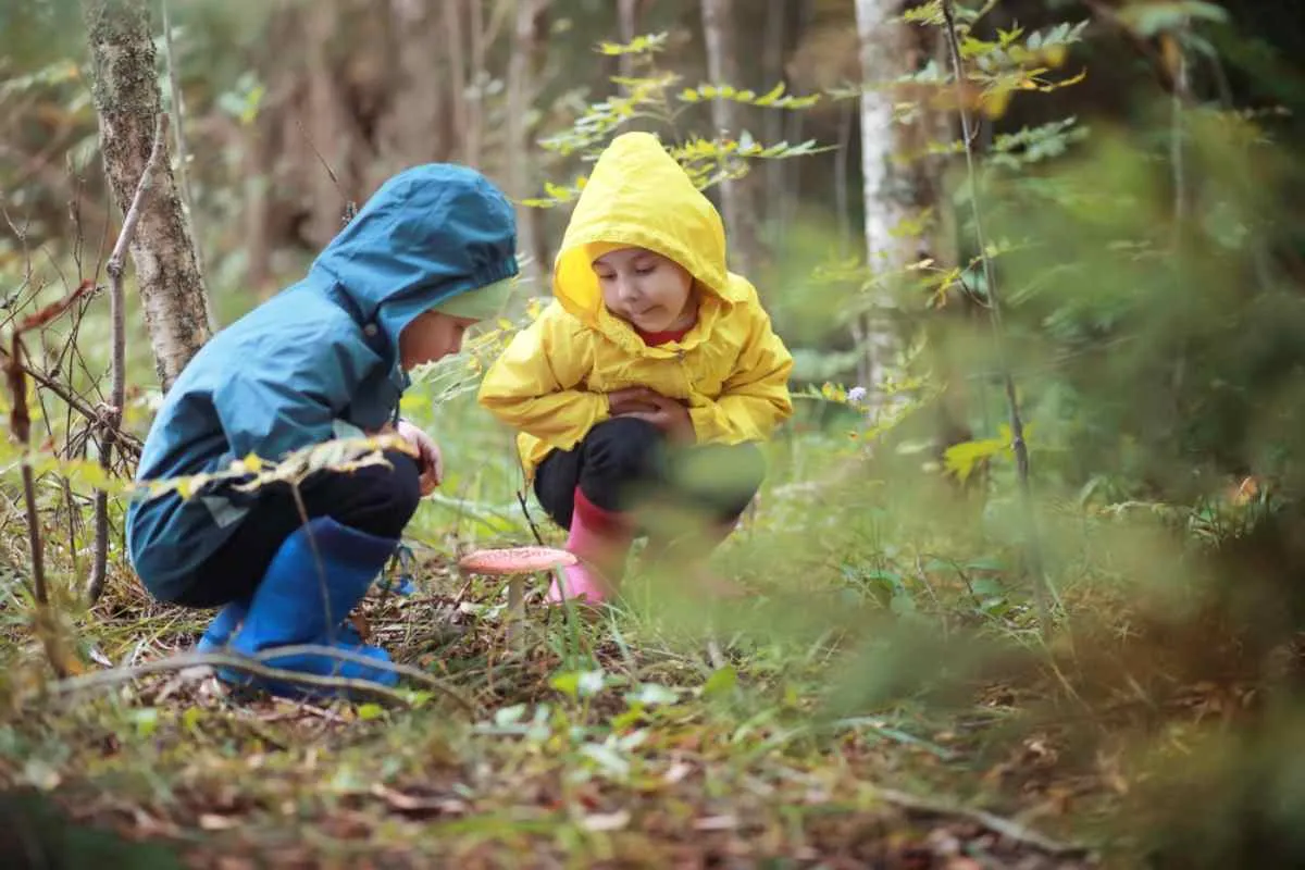 Unos niños con impermeables azules y amarillos observan una seta gigante en el bosque de Suecia.