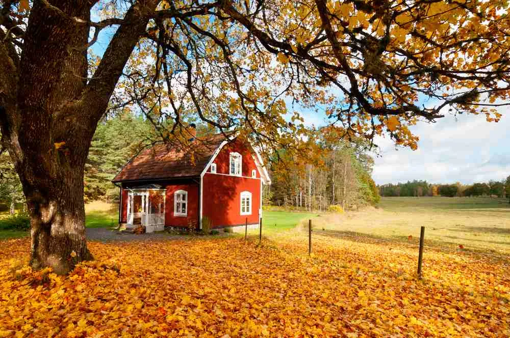 Paysages d'automne en Suède