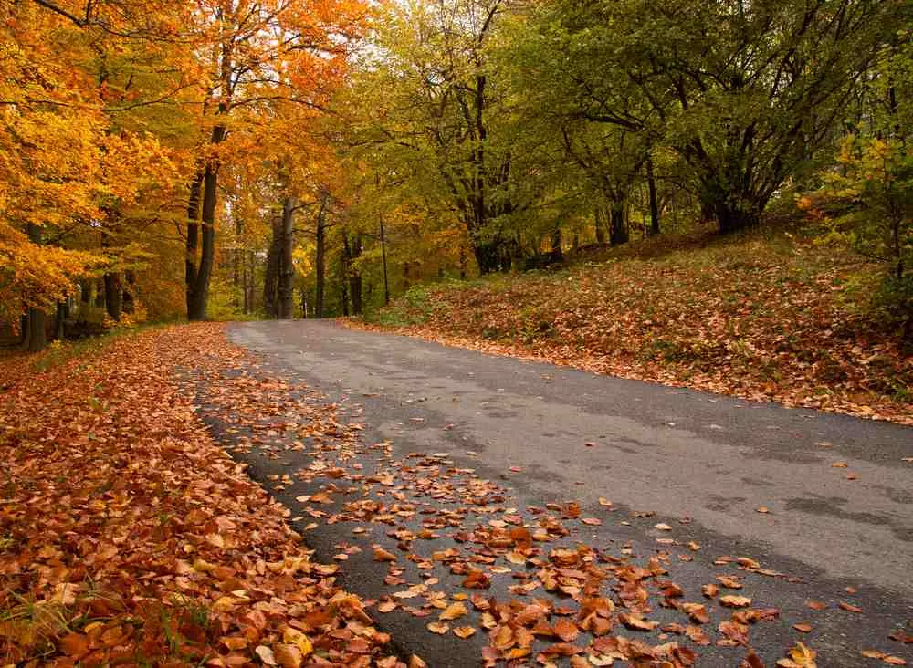 Randonnées en octobre en Suède