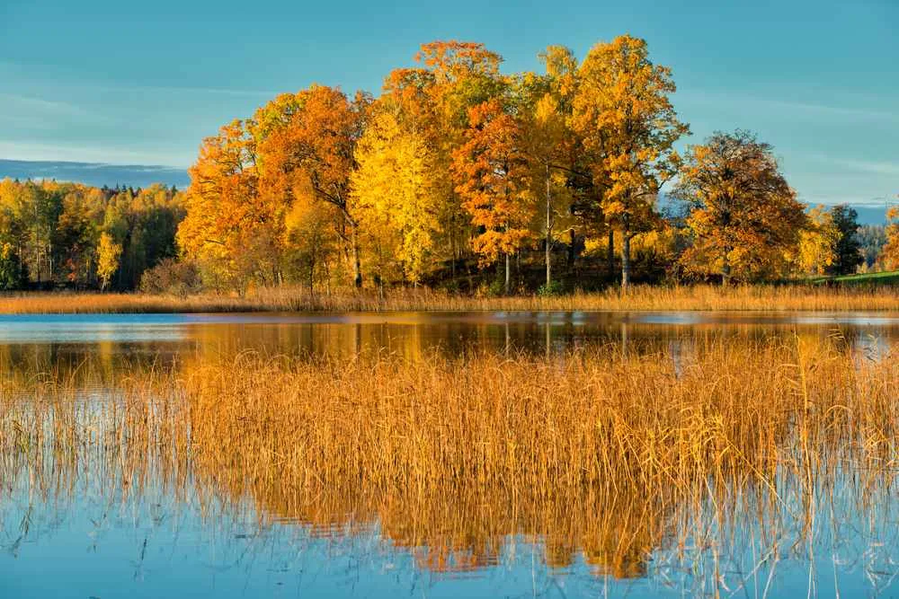 Octobre en Suède
