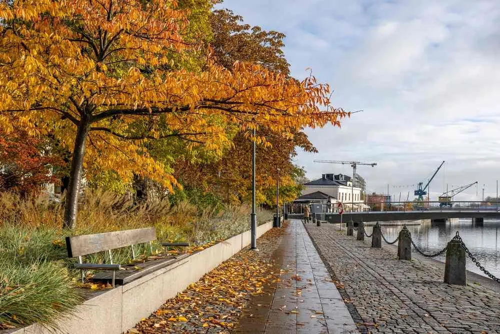 Alla scoperta della serena bellezza della Svezia a novembre