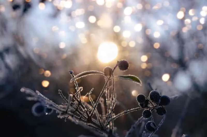 solstice d'hiver
