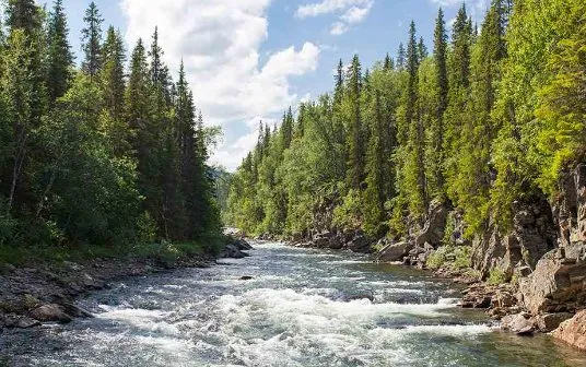 À la découverte des parcs nationaux de Suède : un guide du voyageur