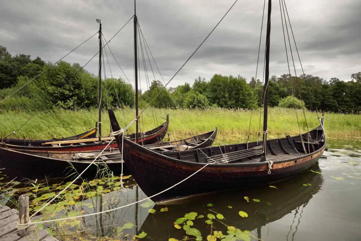 Vista detallada de unas barcas de madera negras amarradas a un pequeño embarcadero en un entorno salvaje.