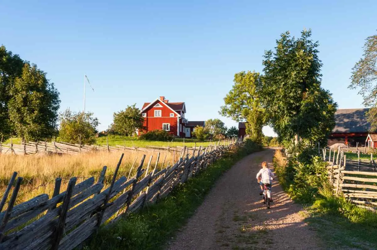 Un niño camina por un camino de tierra junto a una típica granja sueca, completamente vallada, en un precioso día soleado.