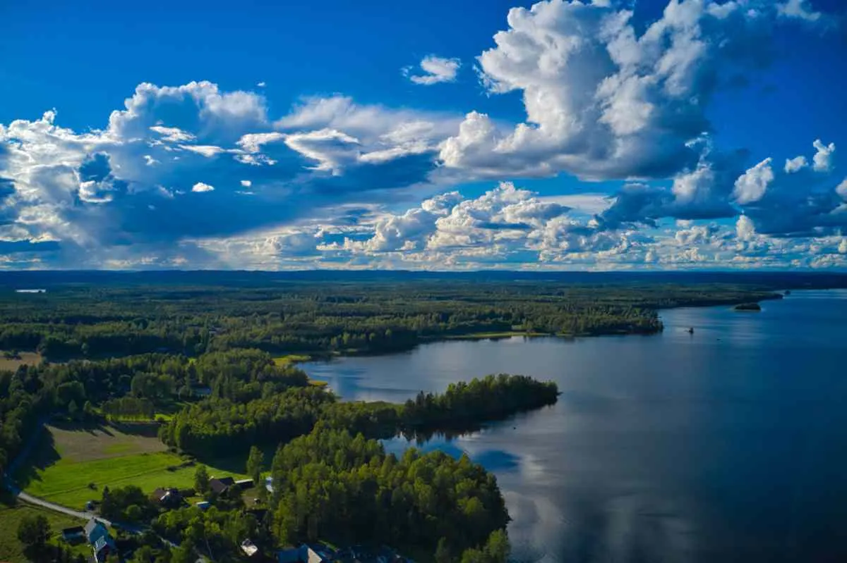 Vista desde un dron de un precioso paisaje sueco repleto de árboles altos y con un espectacular cielo azul por encima.