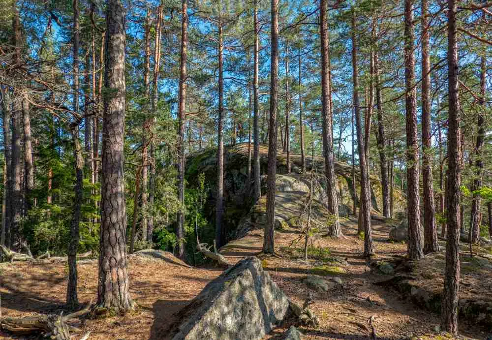 Parque Nacional de Tiveden en Suecia