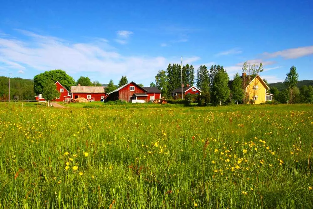 Case di campagna dai colori vivaci circondate da un prato verde pieno di fiori selvatici gialli sotto un cielo azzurro e limpido nella contea di Värmland.
