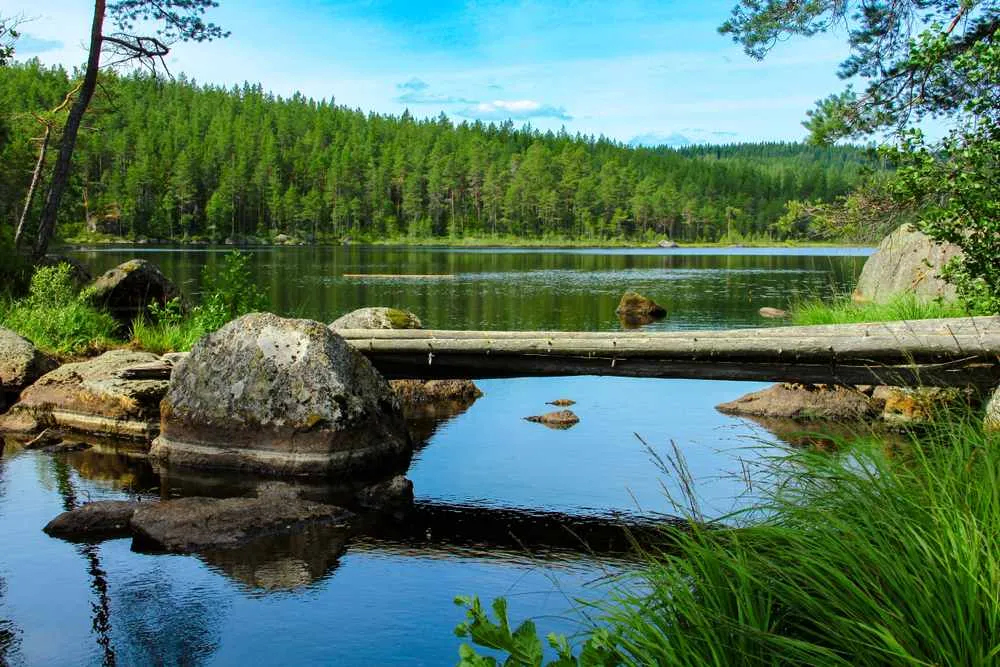 Ponte di tronchi di legno che attraversa un lago tranquillo circondato da rocce, alberi e una foresta rigogliosa nella contea di Värmland, in Svezia.