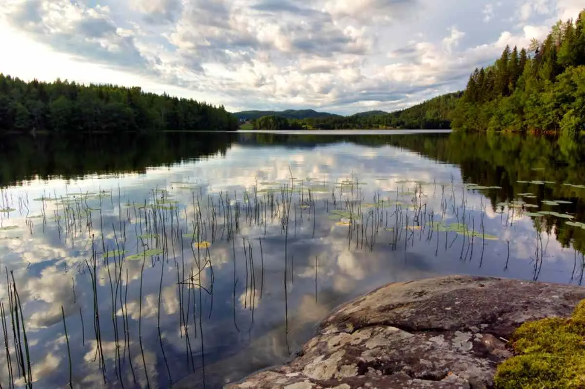 Bellissimo lago circondato dalla vegetazione in un paesaggio naturale svedese, con foreste e poche nuvole nel cielo che si riflettono sulle acque calme.