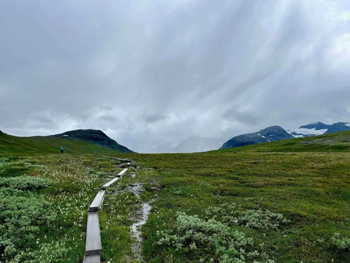 Vista generale di una ripida collina nella natura selvaggia svedese, con quello che sembra un sentiero sul terreno.