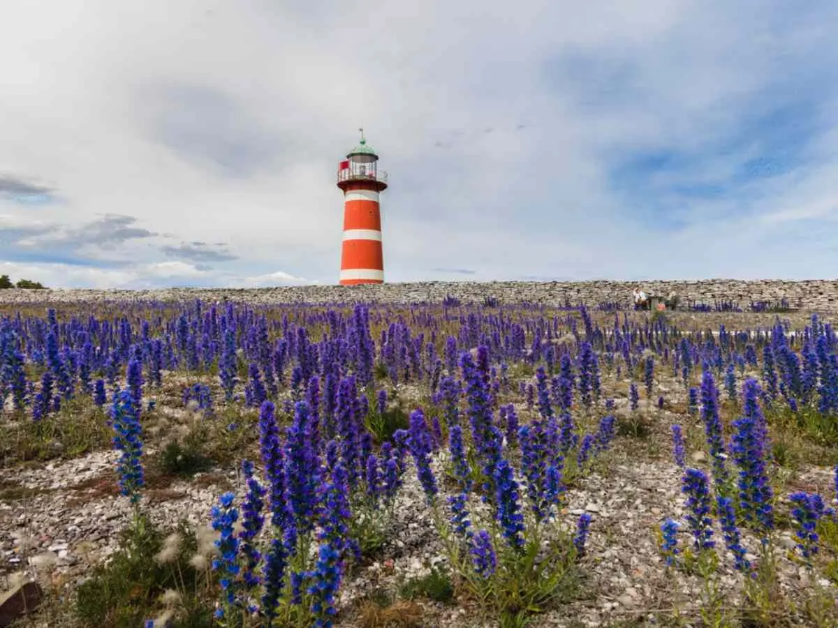 Un viaje por los faros de Gotland