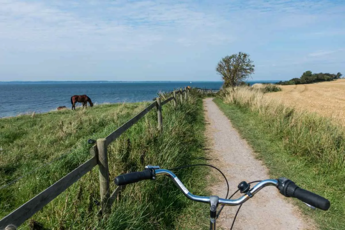 Punti di vista da ciclista, con immagini del manubrio della bici e di un bellissimo paesaggio verde vicino al mare in Svezia in una giornata limpida.