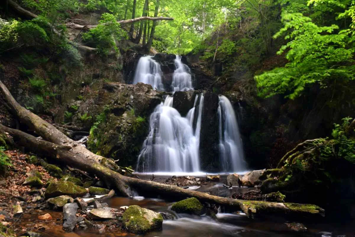 Vista aerea di una delle cascate di Forsakar nella regione di Skane, in Svezia, dove l’acqua limpida che scorre crea un bel contrasto con il verde degli alberi e della vegetazione circostante.