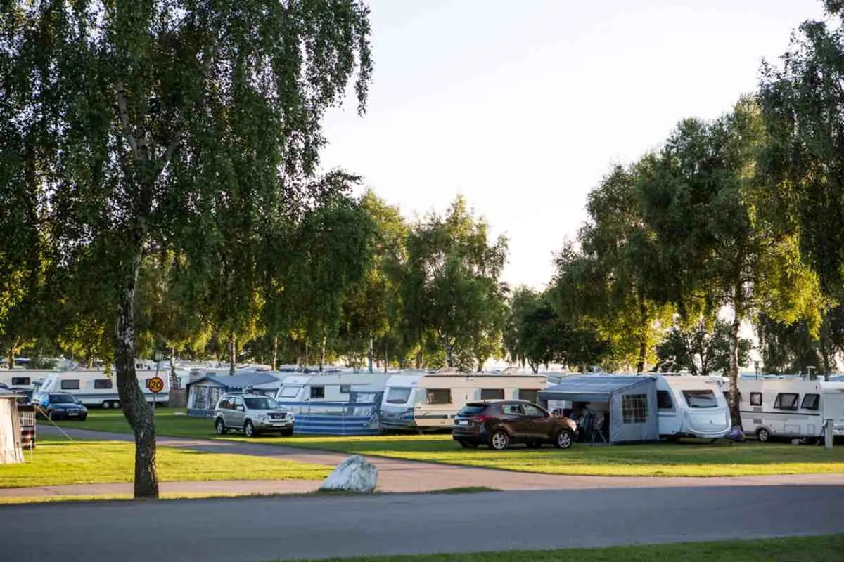 Campeggio per famiglie sull’isola di Öland con camper sotto gli alberi di betulla al tramonto.