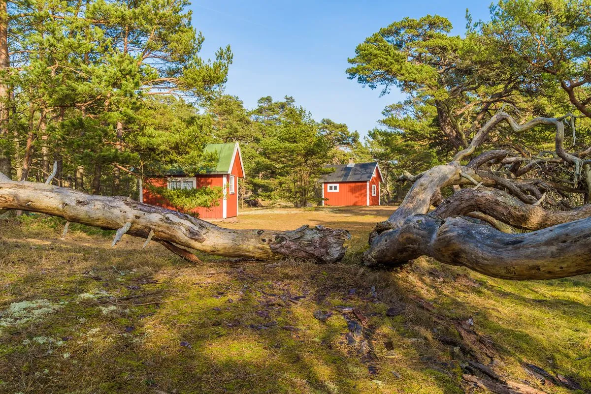Öland, Suède : guide de voyage et activités à découvrir